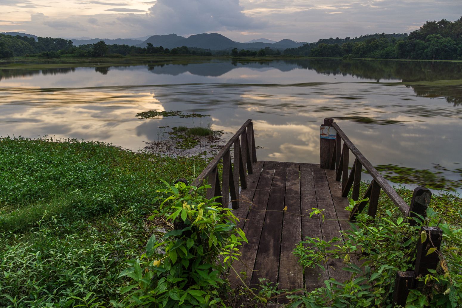 Elephant Conservation Center, Laos